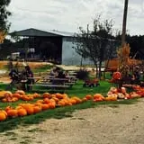 Balzano Family Vineyard & Pumpkin Patch photo