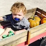 Balzano Family Vineyard & Pumpkin Patch photo