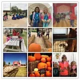Balzano Family Vineyard & Pumpkin Patch photo