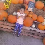 Balzano Family Vineyard & Pumpkin Patch photo