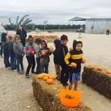 Balzano Family Vineyard & Pumpkin Patch photo