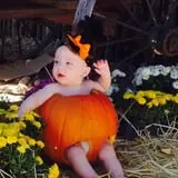 Balzano Family Vineyard & Pumpkin Patch photo