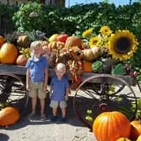 Balzano Family Vineyard & Pumpkin Patch photo