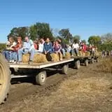 Balzano Family Vineyard & Pumpkin Patch photo
