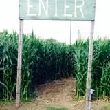 Hall's Pumpkin Farm photo