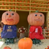Burt's Pumpkin Farm photo