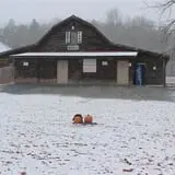 Burt's Pumpkin Farm photo
