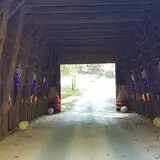 Burt's Pumpkin Farm photo