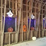 Burt's Pumpkin Farm photo