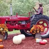 Burt's Pumpkin Farm photo