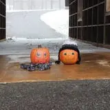 Burt's Pumpkin Farm photo