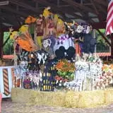 Burt's Pumpkin Farm photo