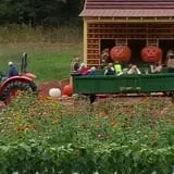 Burt's Pumpkin Farm photo