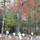 Burt's Pumpkin Farm photo