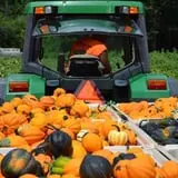 Burt's Pumpkin Farm photo