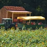 Burt's Pumpkin Farm photo