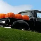 Burt's Pumpkin Farm photo