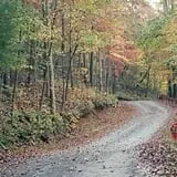 Burt's Pumpkin Farm photo