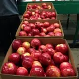 Friske's Farm Market Fall Festival photo