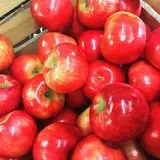 Friske's Farm Market Fall Festival photo