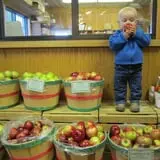 Friske's Farm Market Fall Festival photo