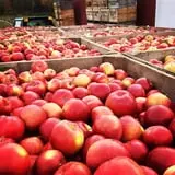 Friske's Farm Market Fall Festival photo