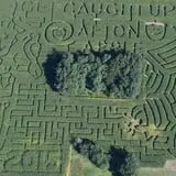 Afton Apple Orchard Corn Maze photo