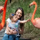 ZooBoo Halloween at Pittsburgh Zoo photo