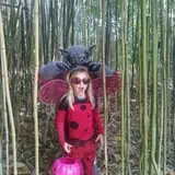 ZooBoo Halloween at Pittsburgh Zoo photo