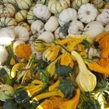 Pochuck Valley Farms Market and Deli photo