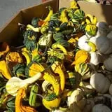 Pochuck Valley Farms Market and Deli photo