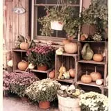 Pochuck Valley Farms Market and Deli photo