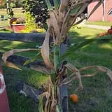 Pochuck Valley Farms Market and Deli photo