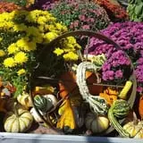 Pochuck Valley Farms Market and Deli photo