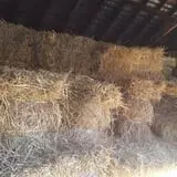 Pochuck Valley Farms Market and Deli photo