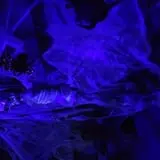 Delirium  photo
