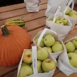 Ditmars Orchard & Vineyard photo