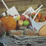 Ditmars Orchard & Vineyard photo