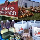Ditmars Orchard & Vineyard photo