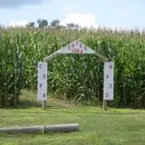 Ditmars Orchard & Vineyard photo