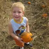 Ditmars Orchard & Vineyard photo