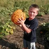 Ditmars Orchard & Vineyard photo