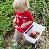 Ditmars Orchard & Vineyard photo