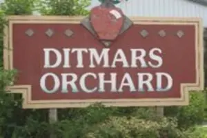 Ditmars Orchard & Vineyard