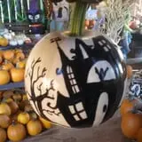 Katie's Pumpkin Barn photo