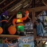 Katie's Pumpkin Barn photo