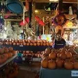 Katie's Pumpkin Barn photo