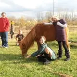 Katie's Pumpkin Barn photo