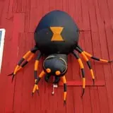 Katie's Pumpkin Barn photo