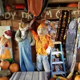 Katie's Pumpkin Barn photo